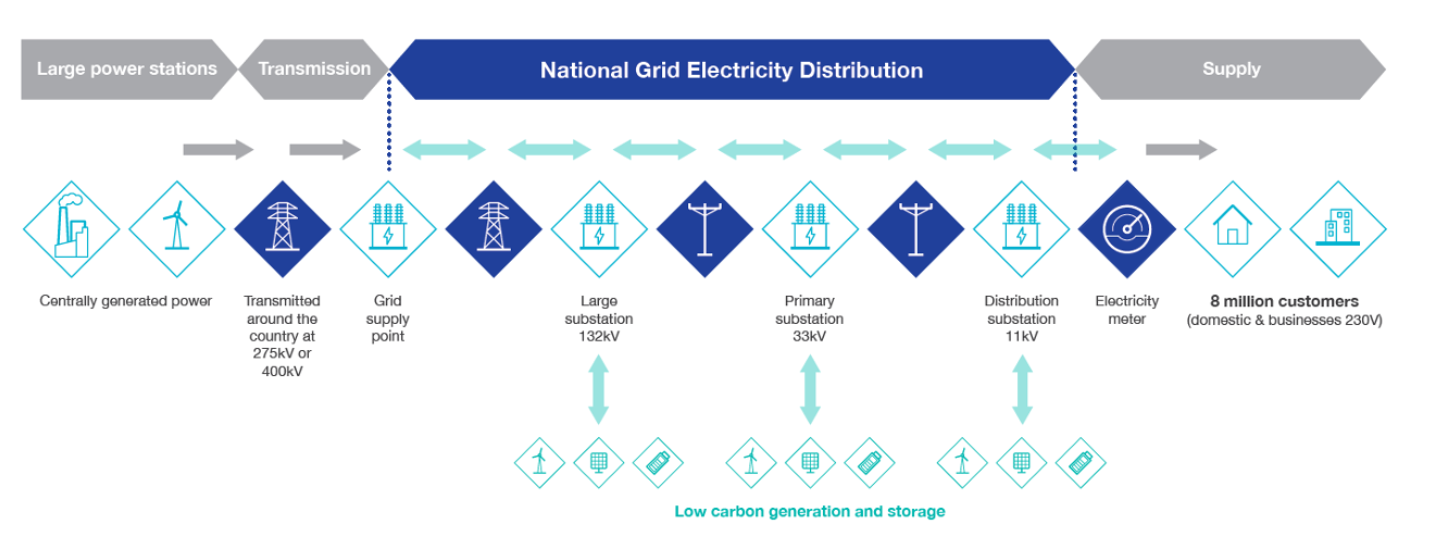 NGED's network